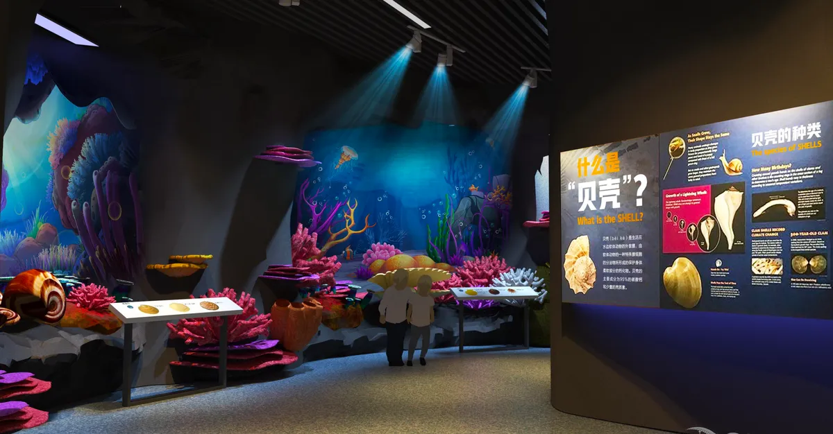 海洋贝壳科普馆项目图 5